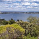 퍼스버거 이미지