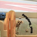 송내동3 이미지