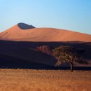 소베라니아 이미지