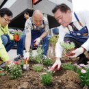 장다리로 이미지