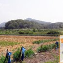 광탄공인중개사사무소 이미지