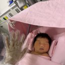 김재인 | 이대서울 제왕절개 4일차 퇴원 당일 기록/ 신생아 중환자실(NICU) 뇌초음파 / 마곡 라엘르 산후조리원...