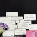 78 | 키링크 78기 참여자 찐 후기