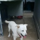 행복한자동차공업사 이미지