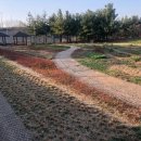 걸포중앙공원 이미지