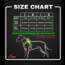 라이트 하운드 이미지