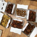 지니어스 짐 이미지