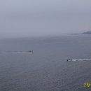 초도콘도 민박 이미지