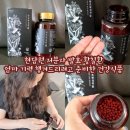 엄마마음식품 | 현담원 저분자 발효 황칠환 후기｜엄마 기력 챙겨드리려고 준비한 건강식품