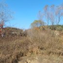 권철농장 이미지