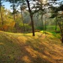 관북리유적 이미지