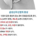 만성 급성 신우신염 원인 방법 이미지