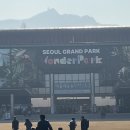 열무열차 | 🍢 “동물원보다 입구가 더 설렜다” — 서울과천동물원 포장마차 먹거리 완벽 후기