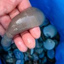 롱비치패밀리호텔 이미지