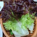 돈꿈용꿈화로구이