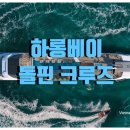 여유탐험