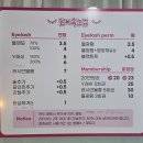 센타프라자 | 서창동 속눈썹펌 맛집 추천 담비 속눈썹에서 완성한 또렷한 눈매