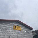 남양주 넓은 실내애견운동장 시고르댕 방문 후기