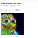 버블리 이미지