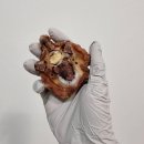 202펫푸드 이미지