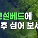 철&빈 네이버블로그
