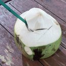 평안꽃식물원 | 태국 이심 추천 / 태국 여행 링심 이심 eSIM 사용 후기