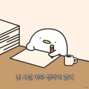 양덕동447 | [개족사진] 그날의미술관 부산점 / 말티푸 여름이의 2번째 생일 기념 / 개족사진