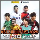 이호트레이딩 | K리그 파니니 카드 2025 가격, 선수 리스트, 구매처 : 차두리 레전드 카드 후기
