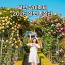 언론기관부설 | 부천 가볼만한곳 백만송이 장미축제 장미원 꽃구경 놀거리