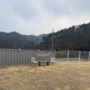 쥬니애견 | 전남 담양 애견동반 숙소 호스위펜션 방문 후기