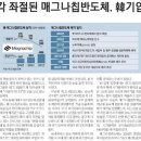 행진개발 이미지