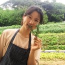 논밭상점 이미지