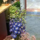 사랑의꽃집 이미지