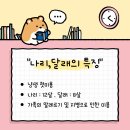 고양이미용실 나른하냥 | [미용 후기] 고양이더위 타면 고양이 미용 해도될까? (고양이미용실 나른하냥)