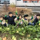 원만사 유치원 이미지