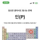 레노마홈부산