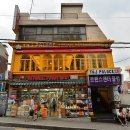 타지펠리스 이미지