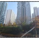 유림-16 이미지