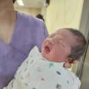 영신사우나 | 늦둥이 셋째.. 출산후기 (3) 출산할래 ..? 다인실쓸래..?