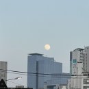 [반포] 고속터미널역 소고기 맛집 가성비 좋은 맛집 추천 참토우 내돈내산 후기 메뉴 추천