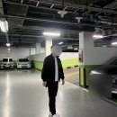 고양이별캣카페 이미지