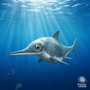 어룡 | “1억 5천만 년 전의 괴물 부활?” 영국서 발견된 신종 어룡 ‘탈라소드라코 에체시’ 정체는?