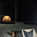 농월정야영장 이미지