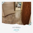 독일의원 | 부천 병원청소 원미구 춘의동 개인 의원 후기