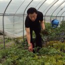 문환농장 이미지