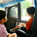 7월 3일 나들이-우리 동네를 둘러보아요, 게임 - 택배 배달 대작전, 명화감상-보테르의 정물화 이미지