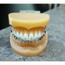 새길치과의원 이미지