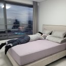 목포판수리레지던스호텔 이미지