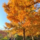 화명수목원 화장실 | 부산 단풍 명소 화명수목원 주말 주차 꿀팁 아기랑 갈만한곳 후기