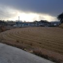 영광목장 1 이미지